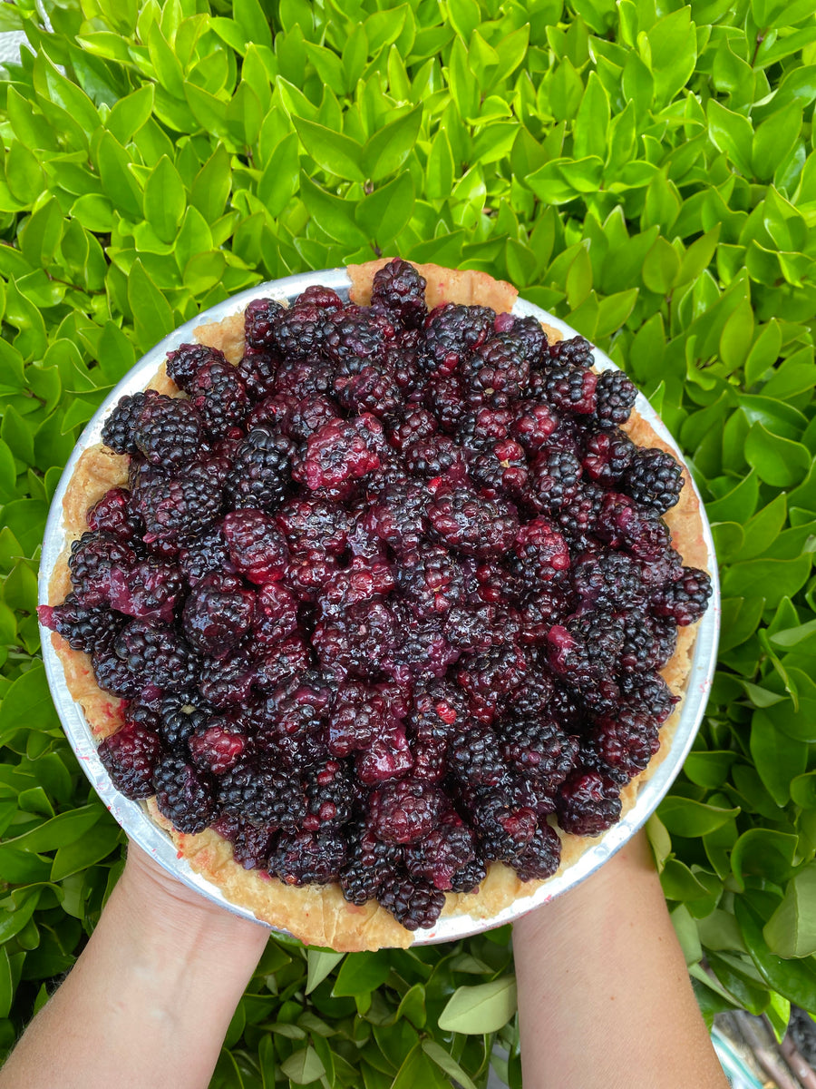 Fresh Olallieberry The Flaky Apple Pie Co