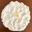 Load image into Gallery viewer, Lemon Cream