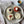 Load image into Gallery viewer, Fresh Cutie Pie Variety Box

