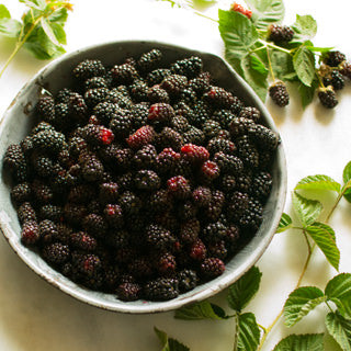 Fresh Olallieberry