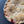 Load image into Gallery viewer, perfectly baked pie from award winning flaky apple pie co
