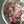 Load image into Gallery viewer, ready to bake strawberry rhubarb pie  from award winning flaky apple pie co
